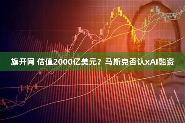 旗开网 估值2000亿美元？马斯克否认xAI融资
