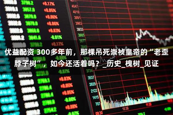 优益配资 300多年前，那棵吊死崇祯皇帝的“老歪脖子树”，如今还活着吗？_历史_槐树_见证
