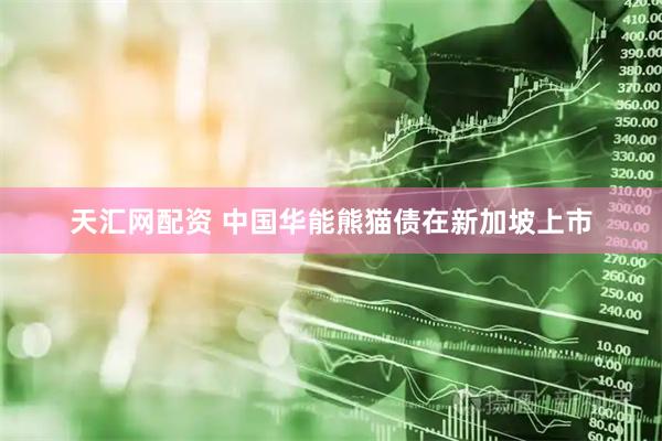 天汇网配资 中国华能熊猫债在新加坡上市