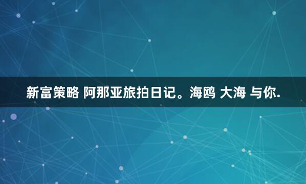 新富策略 阿那亚旅拍日记。海鸥 大海 与你.