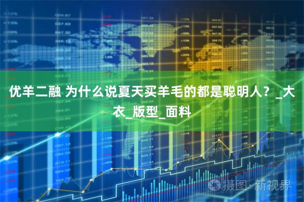 优羊二融 为什么说夏天买羊毛的都是聪明人？_大衣_版型_面料