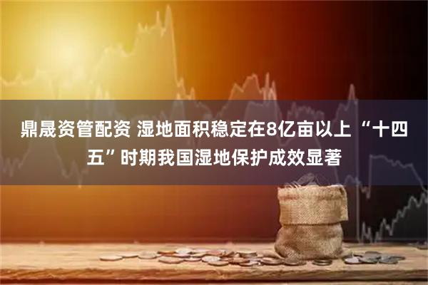 鼎晟资管配资 湿地面积稳定在8亿亩以上 “十四五”时期我国湿地保护成效显著